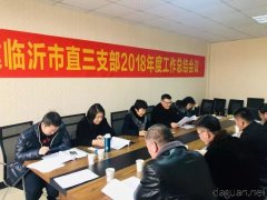 民建临沂市委市直三支部2018年度工作总结会议召开